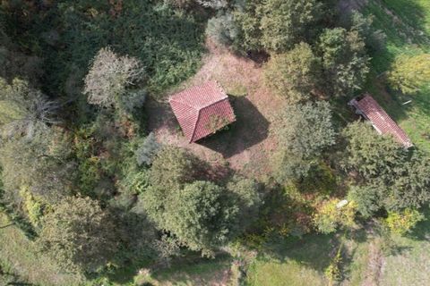 Farm i Arcos de Valdevez, Viana do Castelo, Arcos de Valdevez - € 45.000 | Ref: KWPT-023239 - foto 6
