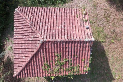 Farm i Arcos de Valdevez, Viana do Castelo, Arcos de Valdevez - € 45.000 | Ref: KWPT-023239 - foto 7