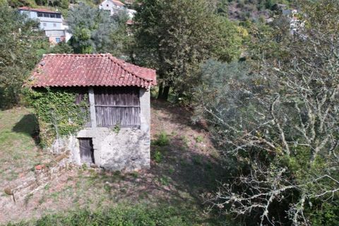 Farm i Arcos de Valdevez, Viana do Castelo, Arcos de Valdevez - € 45.000 | Ref: KWPT-023239 - foto 8