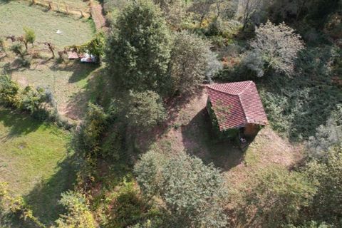 Farm i Arcos de Valdevez, Viana do Castelo, Arcos de Valdevez - € 45.000 | Ref: KWPT-023239 - foto 9