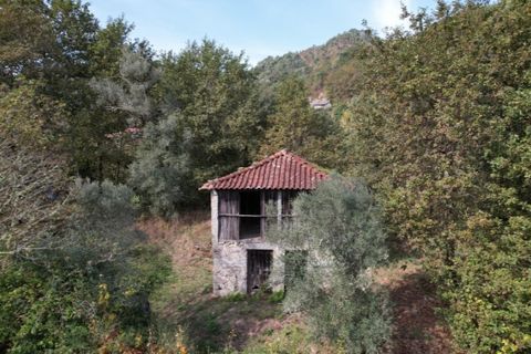Farm i Arcos de Valdevez, Viana do Castelo, Arcos de Valdevez - € 45.000 | Ref: KWPT-023239 - foto 10