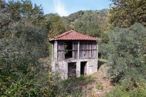 Farm i Arcos de Valdevez, Viana do Castelo, Arcos de Valdevez - € 45.000 | Ref: KWPT-023239 - foto 11