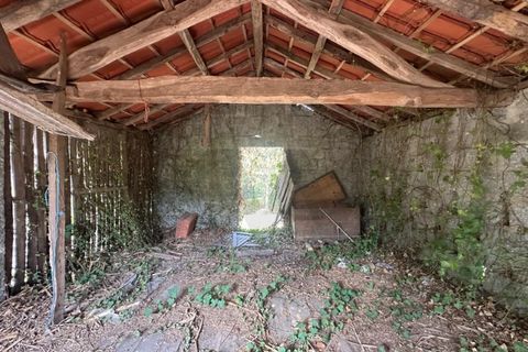 Farm i Arcos de Valdevez, Viana do Castelo, Arcos de Valdevez - € 45.000 | Ref: KWPT-023239 - foto 14