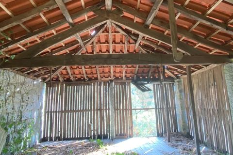 Farm i Arcos de Valdevez, Viana do Castelo, Arcos de Valdevez - € 45.000 | Ref: KWPT-023239 - foto 17