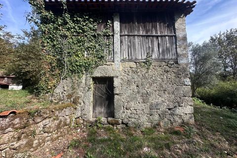 Farm i Arcos de Valdevez, Viana do Castelo, Arcos de Valdevez - € 45.000 | Ref: KWPT-023239 - foto 21