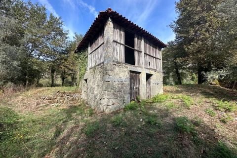 Farm i Arcos de Valdevez, Viana do Castelo, Arcos de Valdevez - € 45.000 | Ref: KWPT-023239 - foto 22