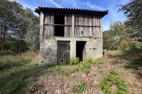 Farm i Arcos de Valdevez, Viana do Castelo, Arcos de Valdevez - € 45.000 | Ref: KWPT-023239 - foto 23