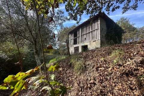 Farm i Arcos de Valdevez, Viana do Castelo, Arcos de Valdevez - € 45.000 | Ref: KWPT-023239 - foto 24