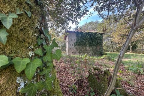 Farm i Arcos de Valdevez, Viana do Castelo, Arcos de Valdevez - € 45.000 | Ref: KWPT-023239 - foto 25