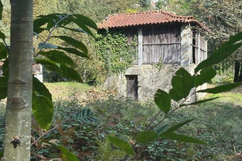 Farm i Arcos de Valdevez, Viana do Castelo, Arcos de Valdevez - € 45.000 | Ref: KWPT-023239 - foto 27