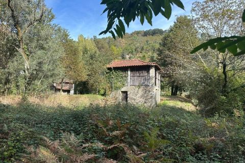Farm i Arcos de Valdevez, Viana do Castelo, Arcos de Valdevez - € 45.000 | Ref: KWPT-023239 - foto 28