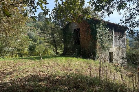 Farm i Arcos de Valdevez, Viana do Castelo, Arcos de Valdevez - € 45.000 | Ref: KWPT-023239 - foto 29