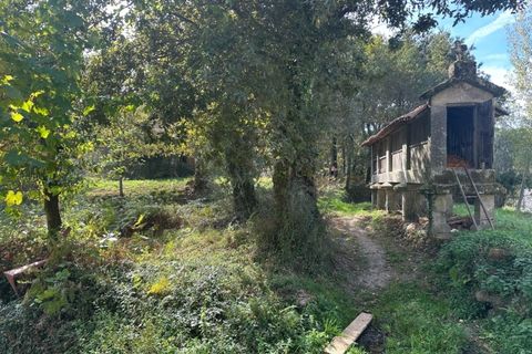Farm i Arcos de Valdevez, Viana do Castelo, Arcos de Valdevez - € 45.000 | Ref: KWPT-023239 - foto 30