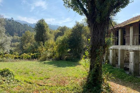 Farm i Arcos de Valdevez, Viana do Castelo, Arcos de Valdevez - € 45.000 | Ref: KWPT-023239 - foto 32