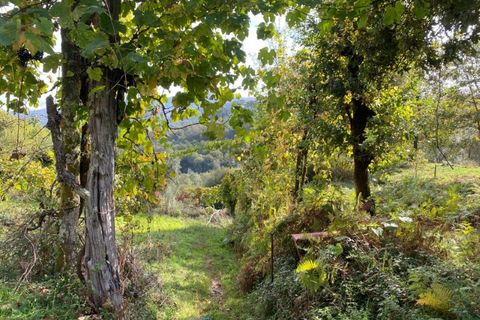Farm i Arcos de Valdevez, Viana do Castelo, Arcos de Valdevez - € 45.000 | Ref: KWPT-023239 - foto 33
