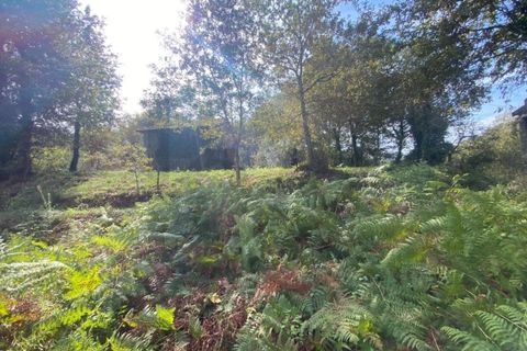 Farm i Arcos de Valdevez, Viana do Castelo, Arcos de Valdevez - € 45.000 | Ref: KWPT-023239 - foto 34