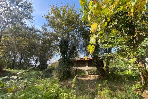 Farm i Arcos de Valdevez, Viana do Castelo, Arcos de Valdevez - € 45.000 | Ref: KWPT-023239 - foto 35