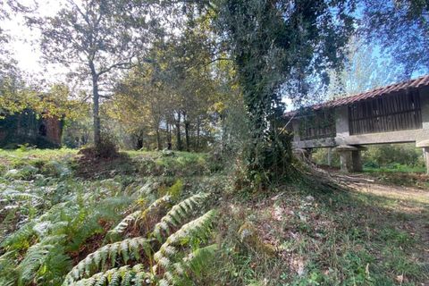 Farm i Arcos de Valdevez, Viana do Castelo, Arcos de Valdevez - € 45.000 | Ref: KWPT-023239 - foto 36