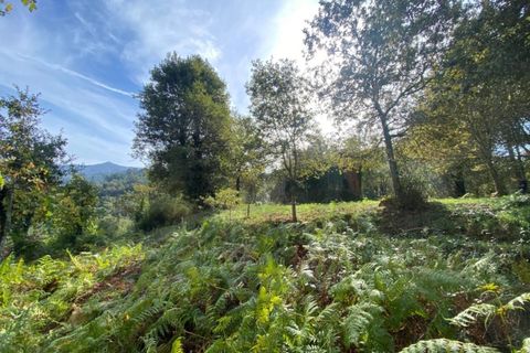 Farm i Arcos de Valdevez, Viana do Castelo, Arcos de Valdevez - € 45.000 | Ref: KWPT-023239 - foto 37