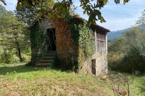 Farm i Arcos de Valdevez, Viana do Castelo, Arcos de Valdevez - € 45.000 | Ref: KWPT-023239 - foto 38