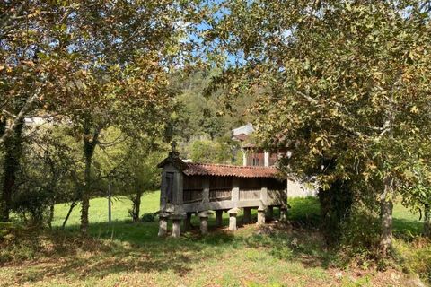 Farm i Arcos de Valdevez, Viana do Castelo, Arcos de Valdevez - € 45.000 | Ref: KWPT-023239 - foto 39