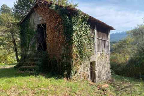 Farm i Arcos de Valdevez, Viana do Castelo, Arcos de Valdevez - € 45.000 | Ref: KWPT-023239 - foto 40