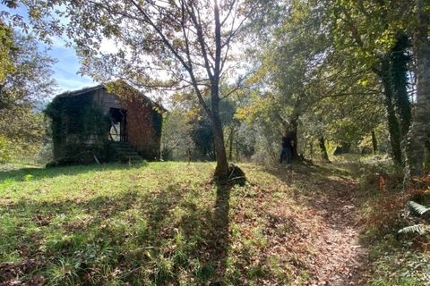 Farm i Arcos de Valdevez, Viana do Castelo, Arcos de Valdevez - € 45.000 | Ref: KWPT-023239 - foto 41