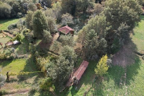 Farm i Arcos de Valdevez, Viana do Castelo, Arcos de Valdevez - € 45.000 | Ref: KWPT-023239 - foto 43