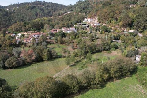 Farm i Arcos de Valdevez, Viana do Castelo, Arcos de Valdevez - € 45.000 | Ref: KWPT-023239 - foto 46