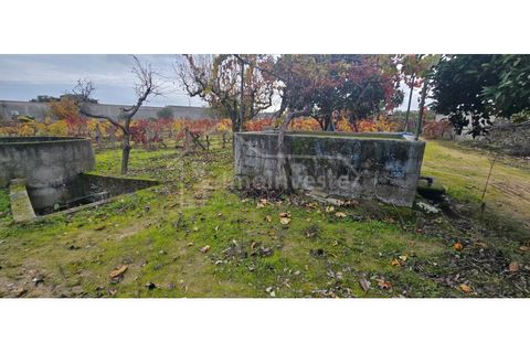Terra a Alcains, Castelo Branco, Alcains - € 50.000 | Ref: SÒL_1134 - foto 8