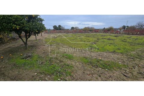 Terra a Alcains, Castelo Branco, Alcains - € 50.000 | Ref: SÒL_1134 - foto 9