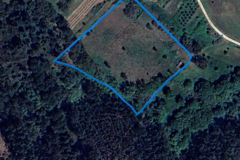 Terra a Tabua, Coimbra, Tabua - € 20.000 | Ref: KWPT-019465 - foto 2
