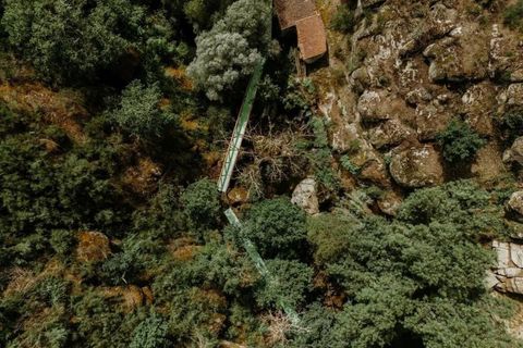Terra a Tabua, Coimbra, Tabua - € 20.000 | Ref: KWPT-019465 - foto 15