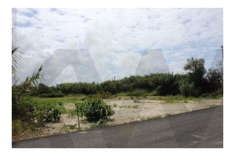 Helårsgrund i Torreira, Aveiro, Torreira - € 65.000 | Ref: KWPT-020556 - foto 2