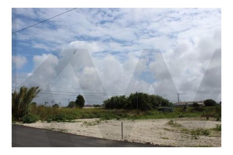 Helårsgrund i Torreira, Aveiro, Torreira - € 65.000 | Ref: KWPT-020556 - foto 3