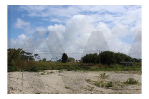 Helårsgrund i Torreira, Aveiro, Torreira - € 65.000 | Ref: KWPT-020556 - foto 4