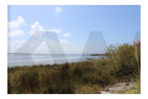 Helårsgrund i Torreira, Aveiro, Torreira - € 65.000 | Ref: KWPT-020556 - foto 9