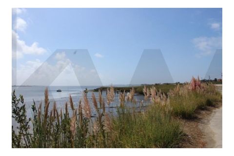 Helårsgrund i Torreira, Aveiro, Torreira - € 65.000 | Ref: KWPT-020556 - foto 12