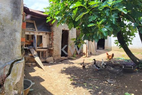 Terra a Barro, Aveiro, Barro - € 80.000 | Ref: KWPT-003080 - foto 10