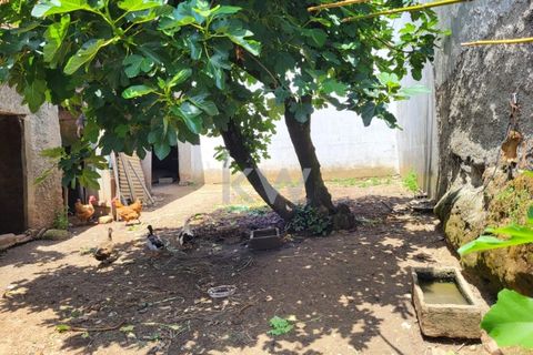 Terra a Barro, Aveiro, Barro - € 80.000 | Ref: KWPT-003080 - foto 11