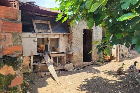 Terra a Barro, Aveiro, Barro - € 80.000 | Ref: KWPT-003080 - foto 12