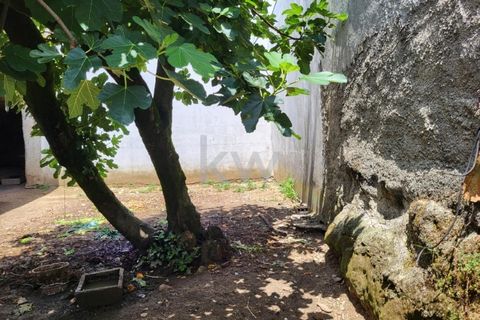 Terra a Barro, Aveiro, Barro - € 80.000 | Ref: KWPT-003080 - foto 13