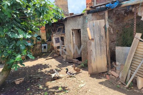 Terra a Barro, Aveiro, Barro - € 80.000 | Ref: KWPT-003080 - foto 14