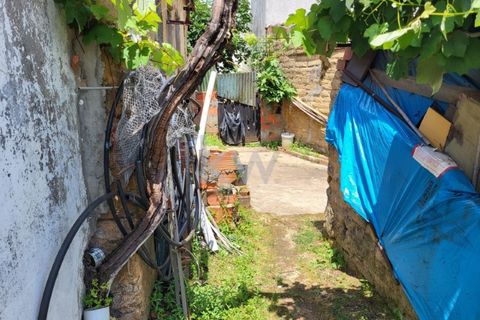 Terra a Barro, Aveiro, Barro - € 80.000 | Ref: KWPT-003080 - foto 16
