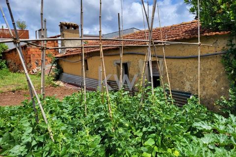 Terra a Barro, Aveiro, Barro - € 80.000 | Ref: KWPT-003080 - foto 19