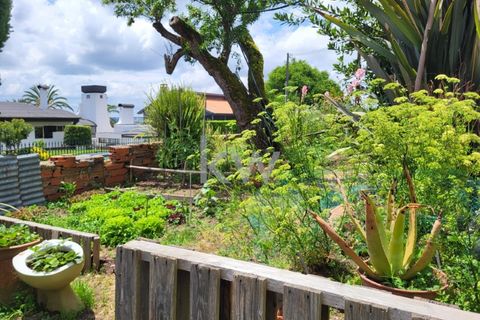 Terra a Barro, Aveiro, Barro - € 80.000 | Ref: KWPT-003080 - foto 20