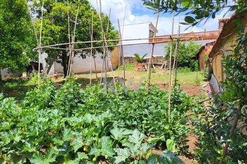 Terra a Barro, Aveiro, Barro - € 80.000 | Ref: KWPT-003080 - foto 22
