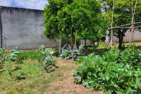 Terra a Barro, Aveiro, Barro - € 80.000 | Ref: KWPT-003080 - foto 24