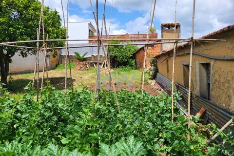 Terra a Barro, Aveiro, Barro - € 80.000 | Ref: KWPT-003080 - foto 25