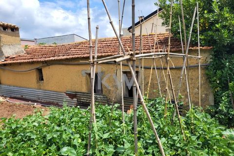 Terra a Barro, Aveiro, Barro - € 80.000 | Ref: KWPT-003080 - foto 26